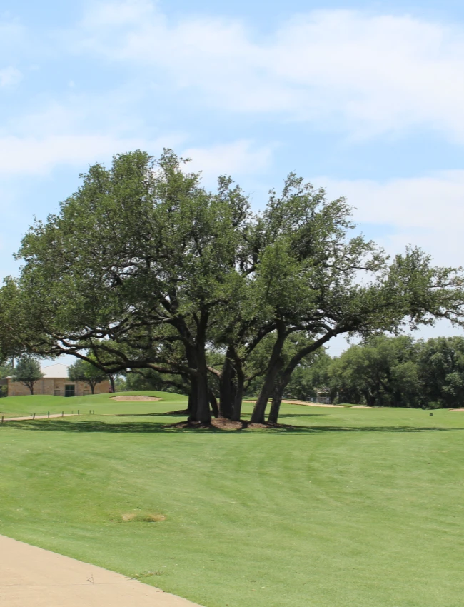 641451768 122118234729145022 5565130586983943123 n