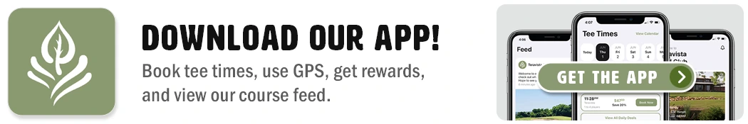 teravista app promo website